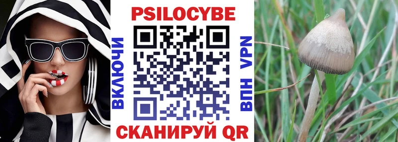 Псилоцибиновые грибы Psilocybine cubensis Белгород