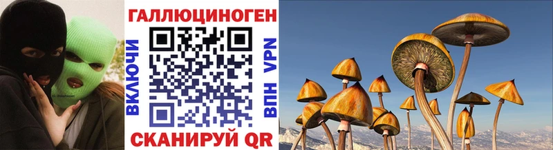Купить  Белгород  Галлюциногенные грибы Psilocybine cubensis 