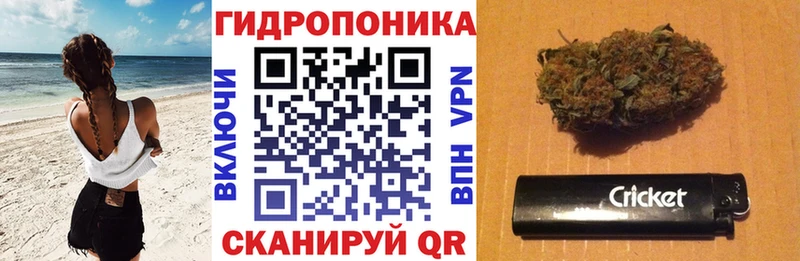 Канабис THC 21%  Купить где  Белгород 